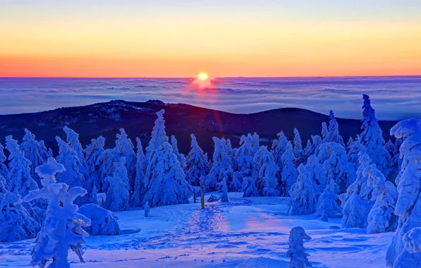 Картинка зима, лес, солнце, снег, восход, рассвет, Германия, вершина