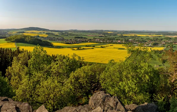 Небо, солнце, деревья, поля, дома, Германия, панорама, Saxony