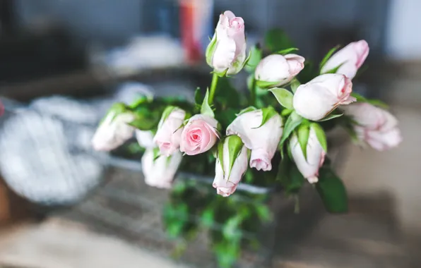 Картинка цветы, розы, букет, нежные