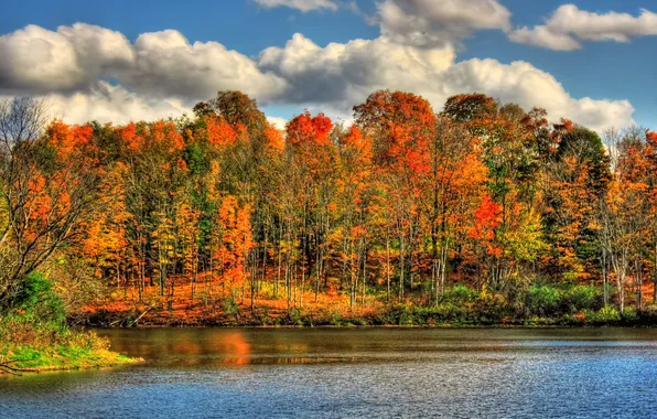 Картинка осень, природа, река, краски, HDR