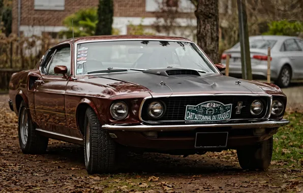 Картинка Mustang, Ford, передок, Muscle car, Мускул кар
