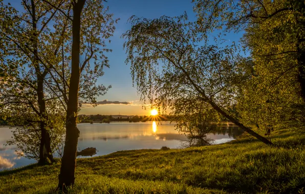 Картинка небо, солнце, деревья, озеро, рассвет, берег, Хорватия, Lake Oresje