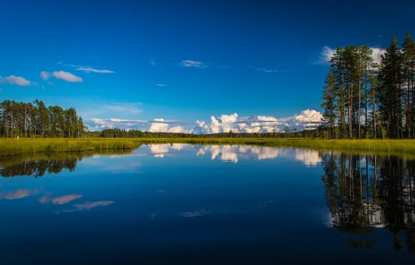 Картинка деревья, природа, озеро, отражение