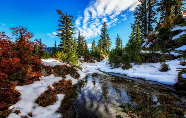 Снег, деревья, озеро, штат Вашингтон, Washington State, Alpine Lakes Wilderness, Озеро Сноу, Snow Lake