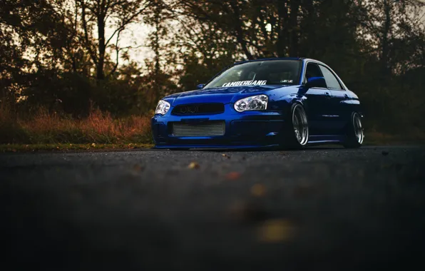 Subaru, синяя, blue, wrx, impreza, субару, sti, импреза