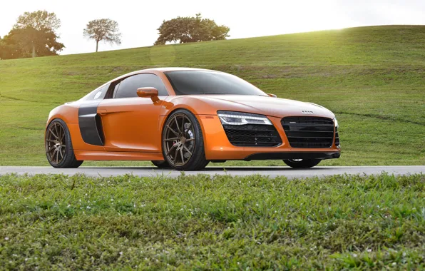 Картинка Audi, Orange, Wheels, Strasse, Samoa, R8