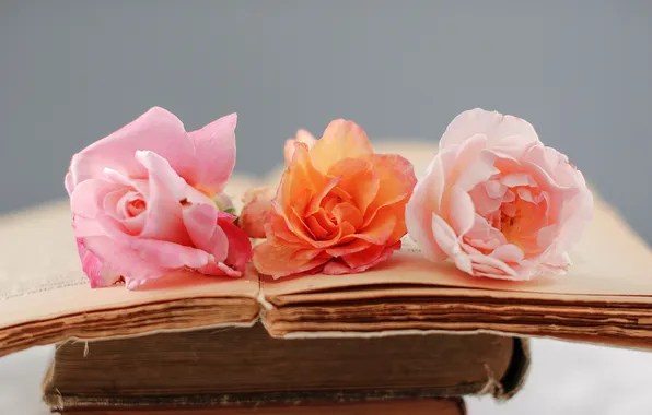 Цветы, розовая, роза, книги, старые, оранжевая, страницы