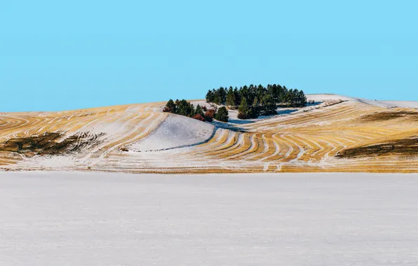 Trees, winter, snow, hill, countryside, farmland