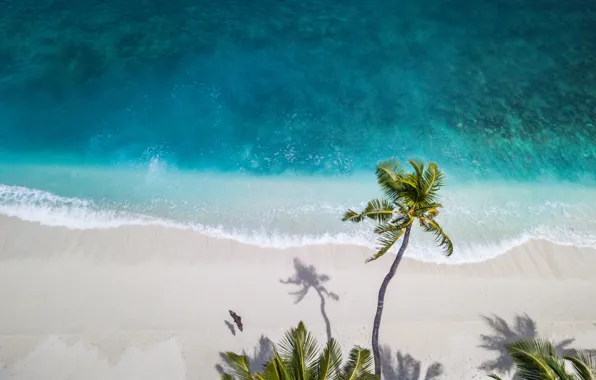 Nature, water, maldives