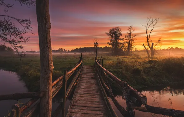 Картинка пейзаж, природа, туман, река, рассвет, утро, Польша, мостик