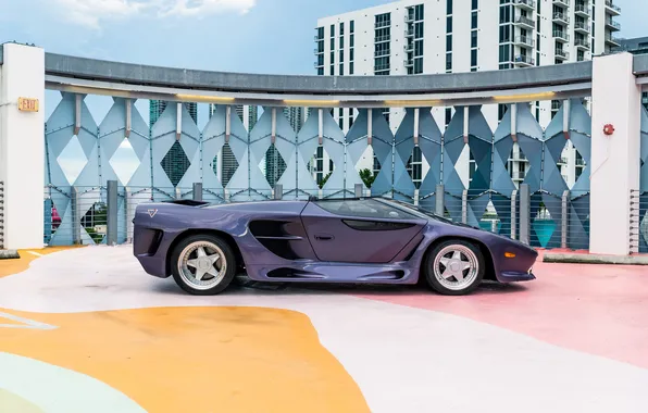 Roadster, Вектор, суперкар, supercar, Vector, 1993, Vector Motors Corporation, WX3