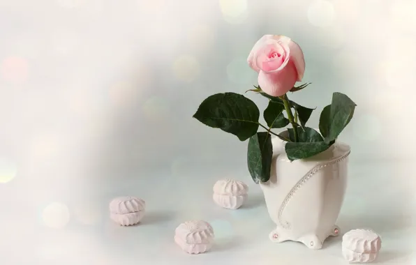 Розовый, роза, бутон, ваза, зефир