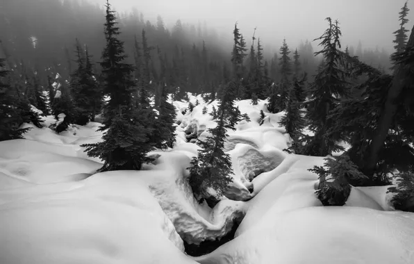 Зима, Деревья, Снег, Мороз, Winter, Frost, Snow, Trees