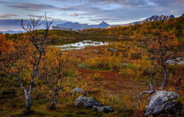 Картинка осень, деревья, горы, озеро, Норвегия, Norway, Troms, Тромс