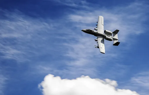 Небо, штурмовик, A-10, Thunderbolt II, одноместный