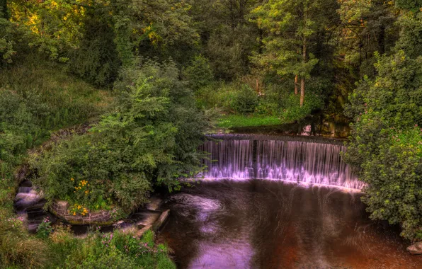 Картинка деревья, парк, ручей, Англия, водопад, кусты, Yarrow valley park