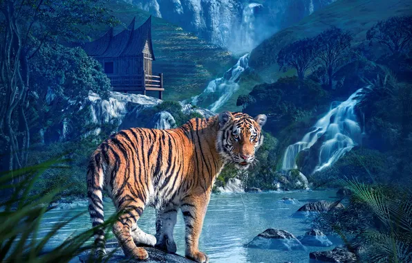 Картинка взгляд, природа, тигр, водопад, хищник
