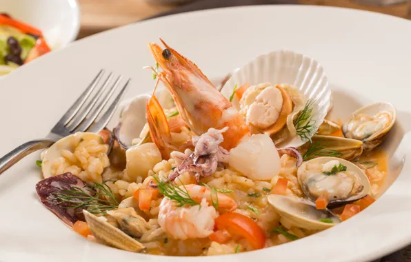 Креветка, морепродукты, моллюски