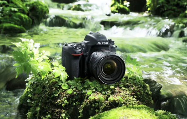 Картинка high-tech, Nikon, river, photography, digital, nature, camera, rocks