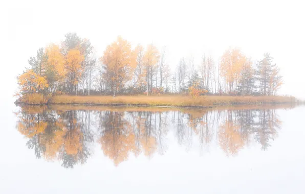 Картинка осень, деревья, туман, остров