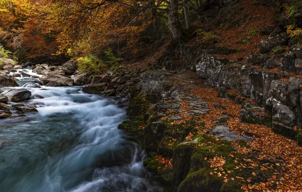 Осень, лес, скалы, берег, листва, водопад, поток, краски осени