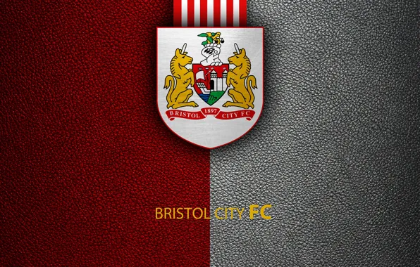 Wallpaper, sport, logo, football, English Premier League, Bristol City