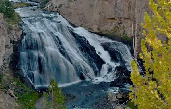 Картинка осень, листья, река, дерево, скалы, водопад, Wyoming, сша