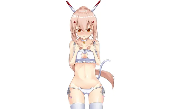 Girl, sexy, lingerie, pantsu, bra, cleavage, panties, thighhighs