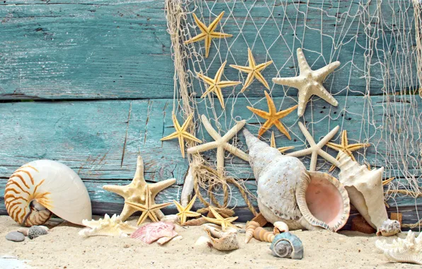 Картинка морские звезды, net, сетка, камушки, marine, seashells, пляж, ракушки