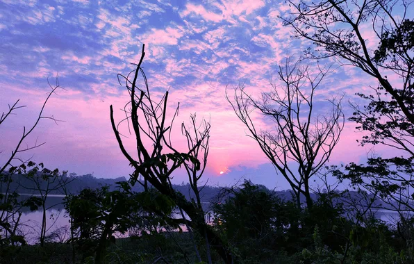 Sun, Water, Sunrise, Dawn, Morning, Lake, Trees, Reflection