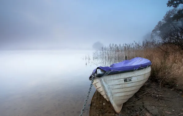 Картинка пейзаж, туман, озеро, лодка