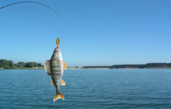 Water, fish, fishing
