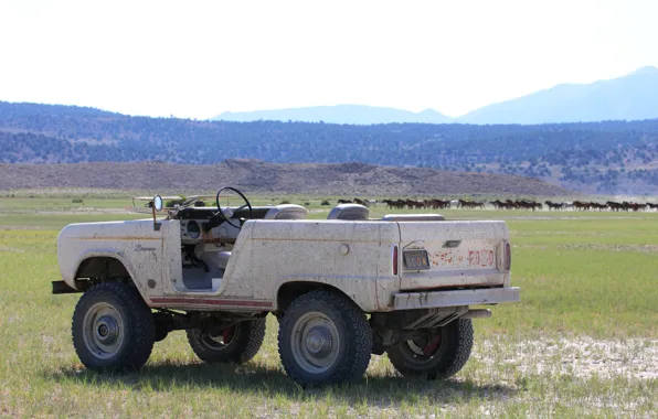 Поле, тюнинг, Ford, 1966, 2018, Bronco, ICON Bronco Derelict Roadster