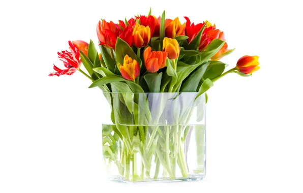 Вода, цветы, букет, тюльпаны, ваза