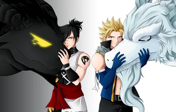 Животные, аниме, арт, парни, персонажи, Fairy Tail, Хвост феи, Rogue Cheney