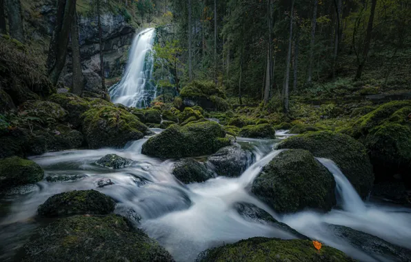 Лес, река, камни, водопад, мох, Австрия, каскад, Austria