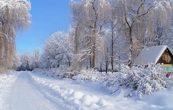 Картинка зима, иней, дорога, небо, снег, деревья, дом, улица