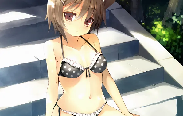 Girl, sexy, cleavage, brown hair, brown eyes, boobs, animal ears, anime