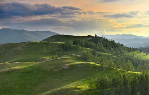 Облака, деревья, горы, горизонт, луга, Крат Светлана, На закате