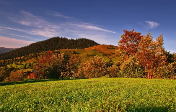 Поле, осень, небо, деревья, горы, природа, colors, Nature
