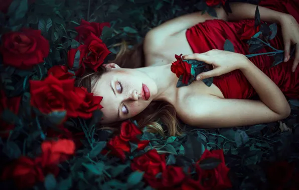 Цветы, настроение, сон, розы, макияж, веснушки, Ronny Garcia, спящая девушка
