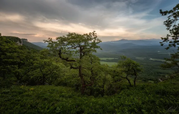 Картинка пейзаж, горы, тучи, природа, растительность, Адыгея, Хребет Уна-Коз