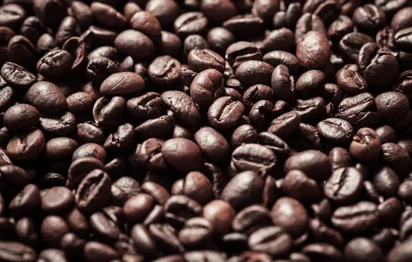 Beans, coffee, roasted