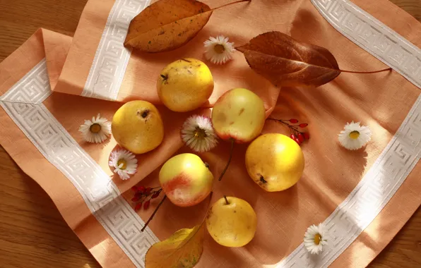 Осень, яблоки, красиво, фрукты, натюрморт, груши, салфетка