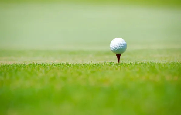 Картинка спорт, green grass, Golf ball