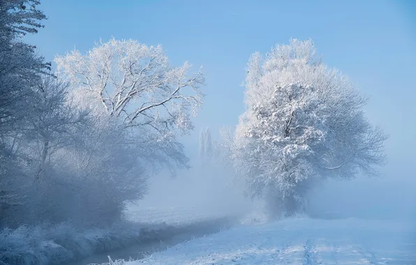 Зима, иней, поле, лес, снег, деревья, туман, в снегу