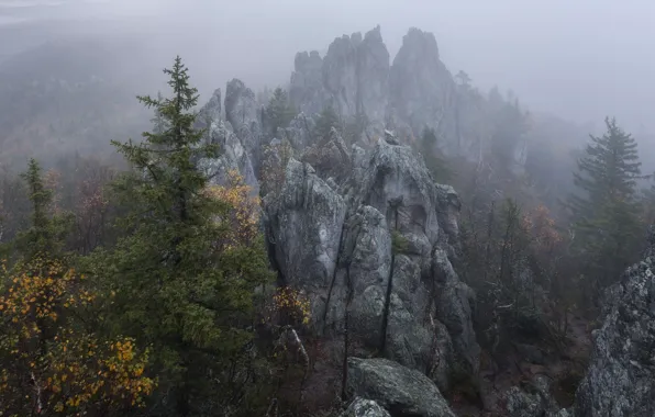 Картинка деревья, горы, природа, туман, скалы