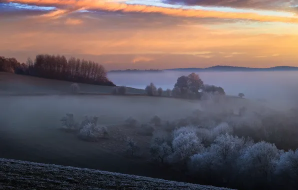 Зима, закат, природа, туман