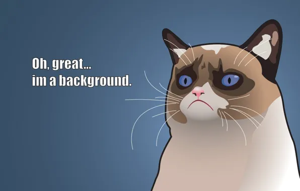 Vector, Cats, Grumpy, Captions