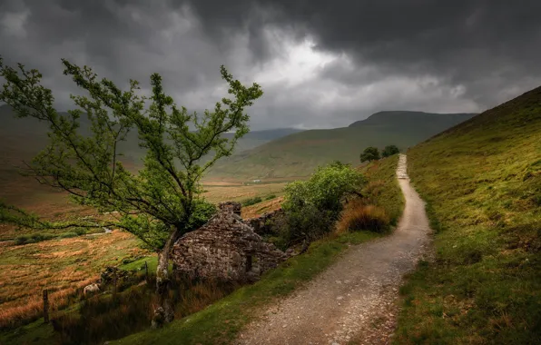 Дорога, небо, деревья